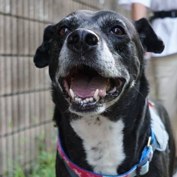 1c805858 107c 4ca4 bf19 87501d7f5238 1759402781697