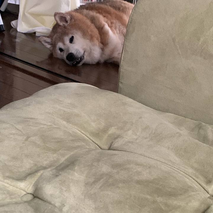 1c8075ca 7037 4007 91fe 171255c00887 1654943553278