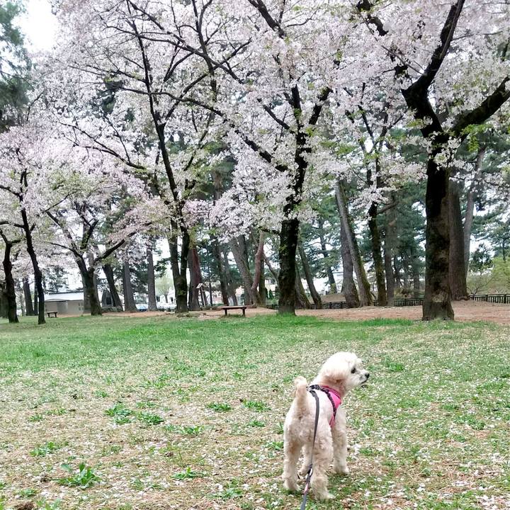 1c809f56 43ab 4b8e 8f8b 52e88e847e2e 1617541641317