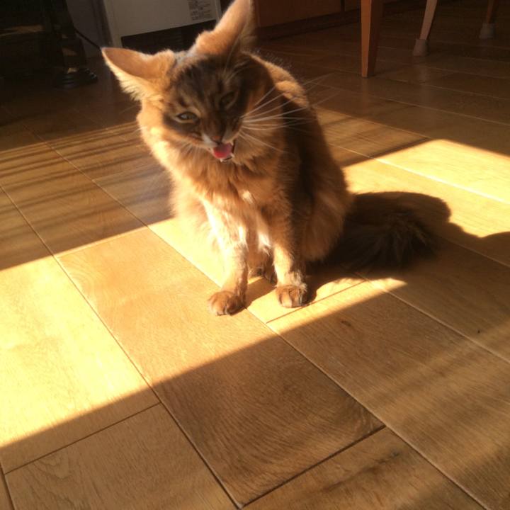 1c80a444 ca8c 4b74 8b06 c6adcd34018d 1613534183097