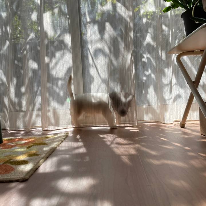 1c80d59a e2c6 4406 9ef4 1c116c2850b0 1615352463233