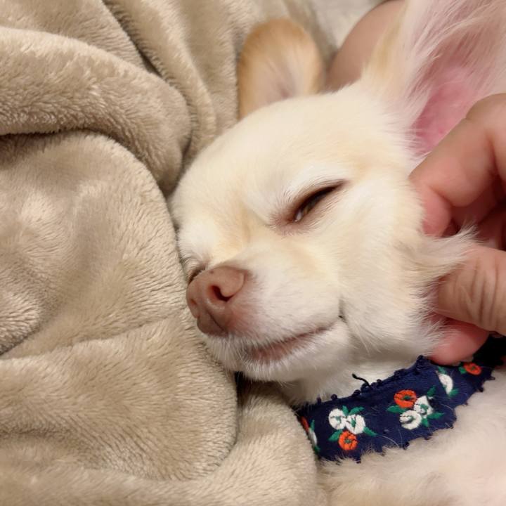 1c80f1db 030e 401e 8b7d 5d6cea1d3db2 1725019053259