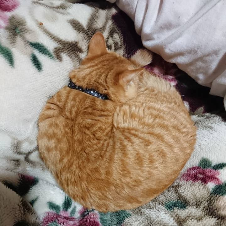 1c80f532 eb1e 4a51 b4c7 cbb8e785d7bd 1640088315833