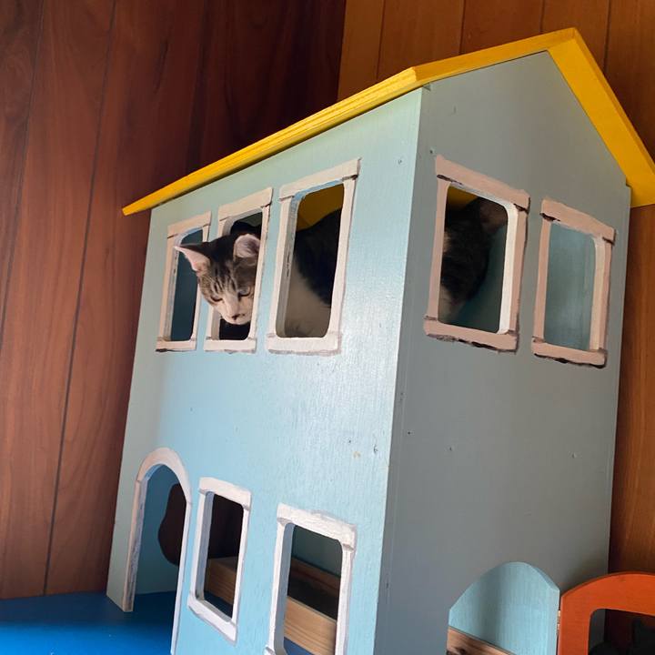 1c80ffdc dcd7 4bdd a59f b1dab7835ac4 1728981918822