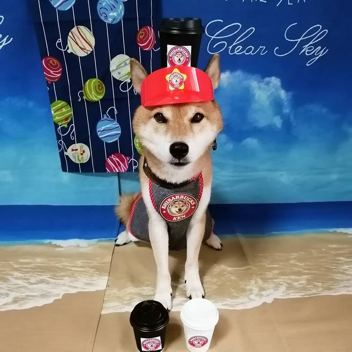 1c80ffdd 492e 4d6a ba91 176abedf02d3 1628917555806