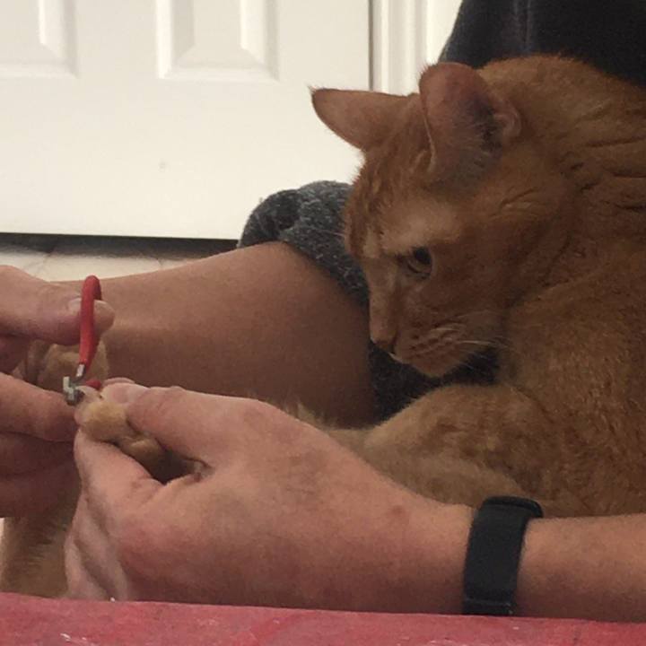 1c8101d3 d7ed 4534 8fc8 22df069c05ee 1691713500824