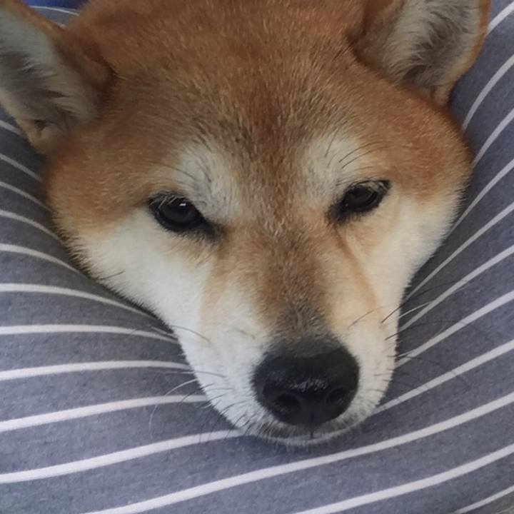 1c811dd1 1888 4ad1 9085 6f86405c4dc4 1599473976068