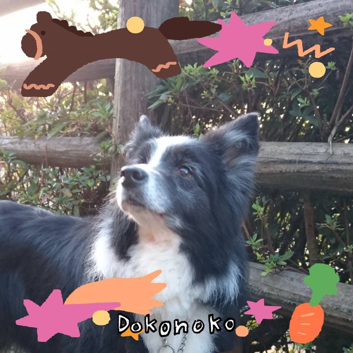 1c814742 aec8 43be 959f fda6b35c70ee 1772028485905