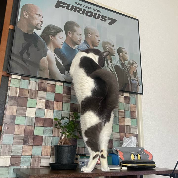 1c81891e ca3e 416d a3a5 34a618144f63 1714137088458