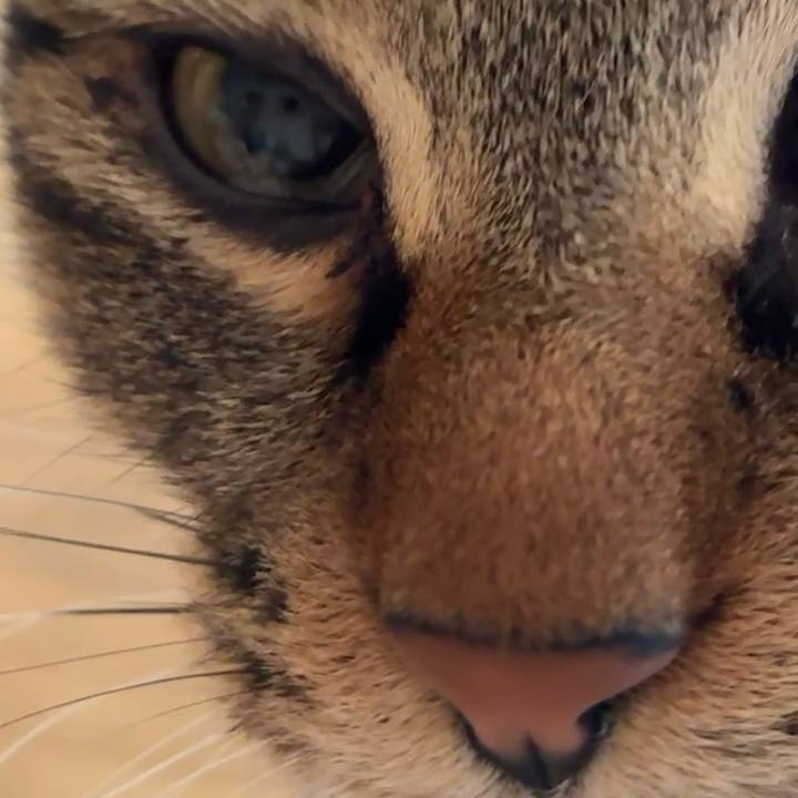 1c81beba c88e 4f69 b038 2e91431e303d 1775265839055