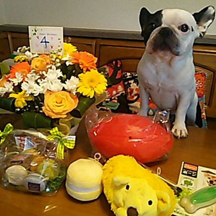 1c81c0d5 1385 4702 b66c 8ff997d29651 1528700151870