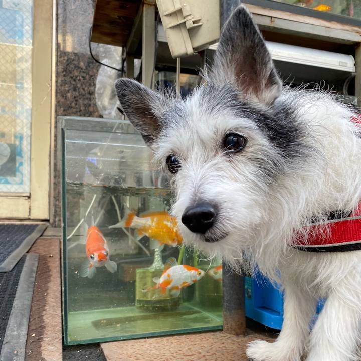 1c82060e 7db6 4d51 8383 621556f23032 1621726671433