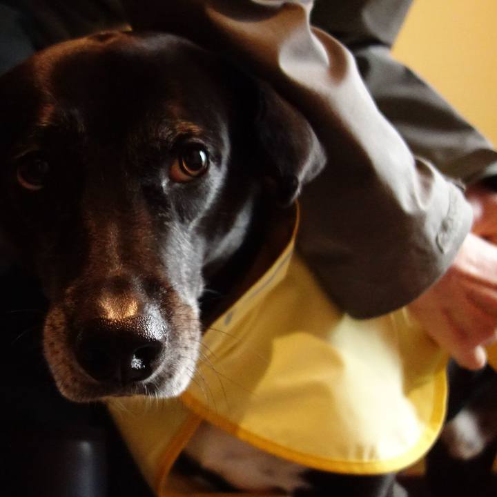 1c825df3 79c0 4194 a81e 6b69448f9a68 1743551697522