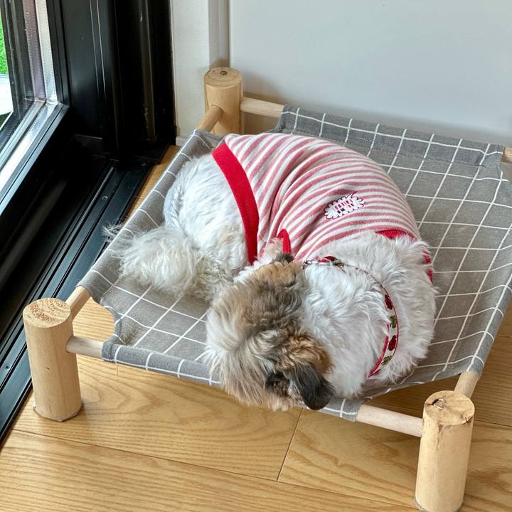 1c82b174 1abe 4d55 ab2e d13bbfa4e23d 1680318975928