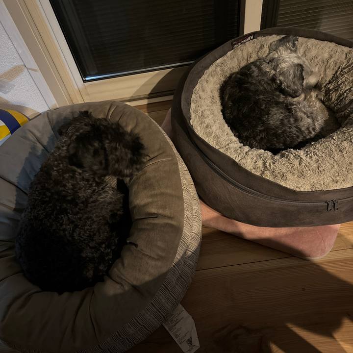 1c82e28e 9327 496f 830d c667dbd4f083 1707222912290