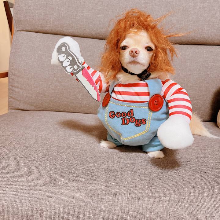 1c830776 12ec 49fd 9f57 15f9bb4408ea 1665462219692