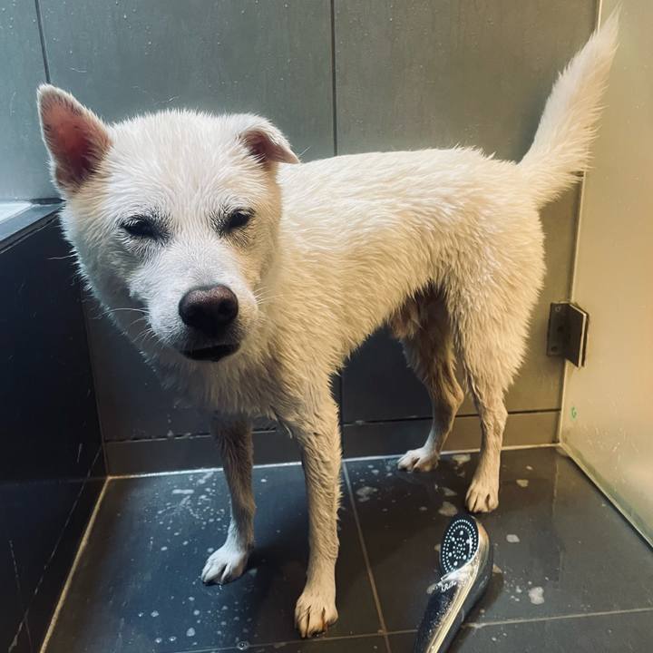 1c839171 2bb4 47bc b6d6 26e3a23a7fa9 1752970626882