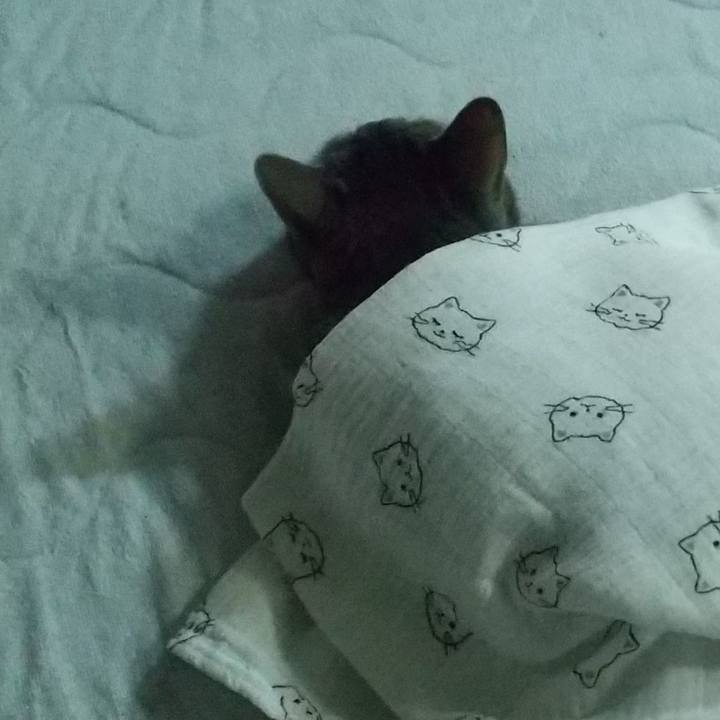 1c83bc96 92a0 41b4 8919 c657bca65047 1673571891639