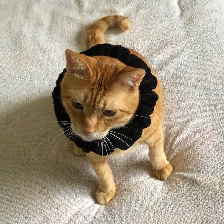 1c83c965 9065 464a 817f a01b1965d050 1570253538487