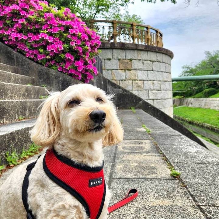 1c83ce23 d368 4c80 b213 3808e4ef7393 1776831463305