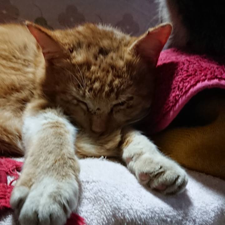 1c83d402 3ca3 49eb a9cf 83bde6dd7463 1550881876522