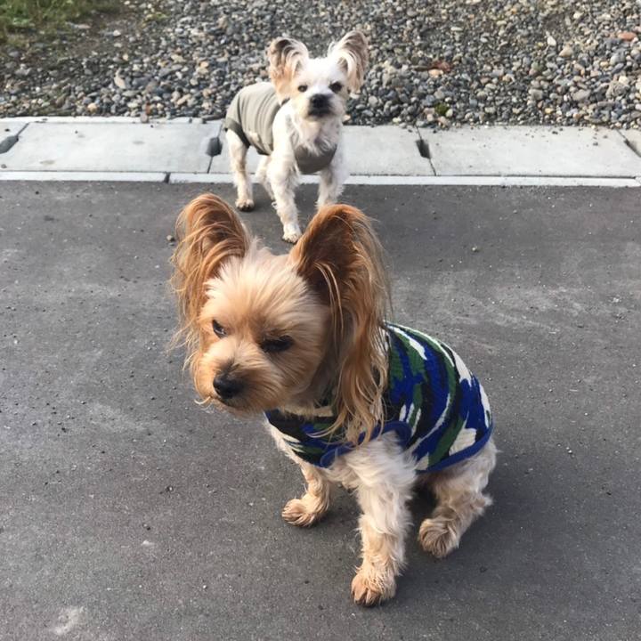 1c8402ba 0f49 4e14 bb4f 4b13947ac796 1570007531714