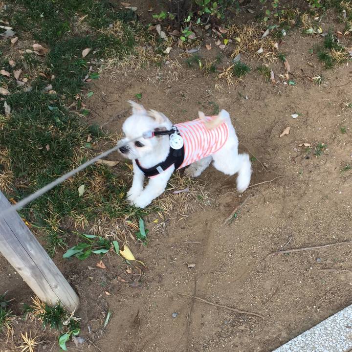 1c844812 fa3c 4447 ab3d 18175b4e0521 1534380563849