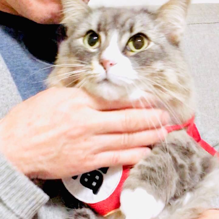 1c846dd7 d636 408f a4a4 ce0d0ebc383d 1577934108824