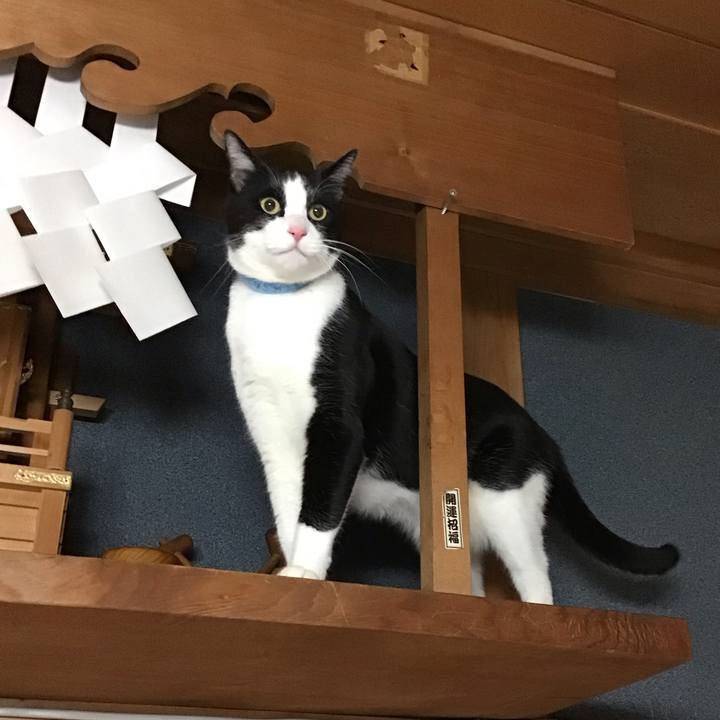 1c847474 9945 4ab4 ae3f 9699af2510d6 1738493595122