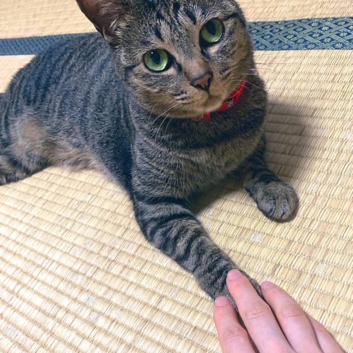 1c8484f2 af05 4078 8a65 e4335f3266f7 1564197470151