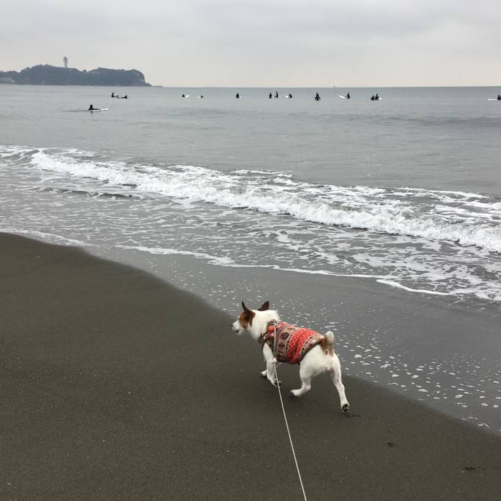 1c8486bb 74e0 4fc9 b274 ed3fff3406c5 1607037964177