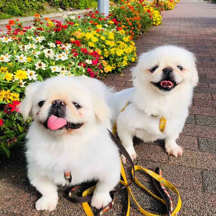 1c848fc2 9efe 4da5 be71 0fd901bd7a34 1632794261905