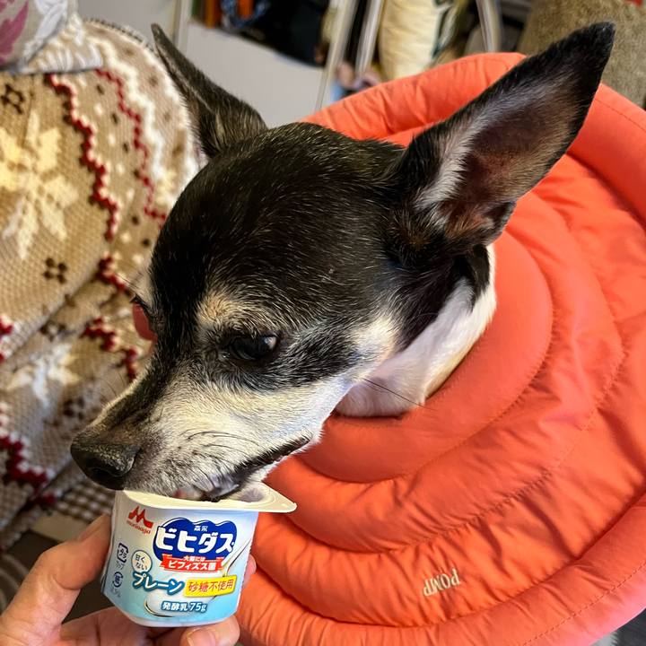 1c84adc5 7908 4e8c 8002 c324c7e8c9d6 1640644010725