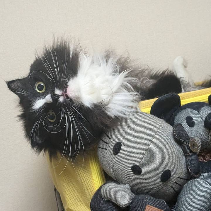 1c84b441 4a14 4326 b4e1 672c900bb294 1733788562596