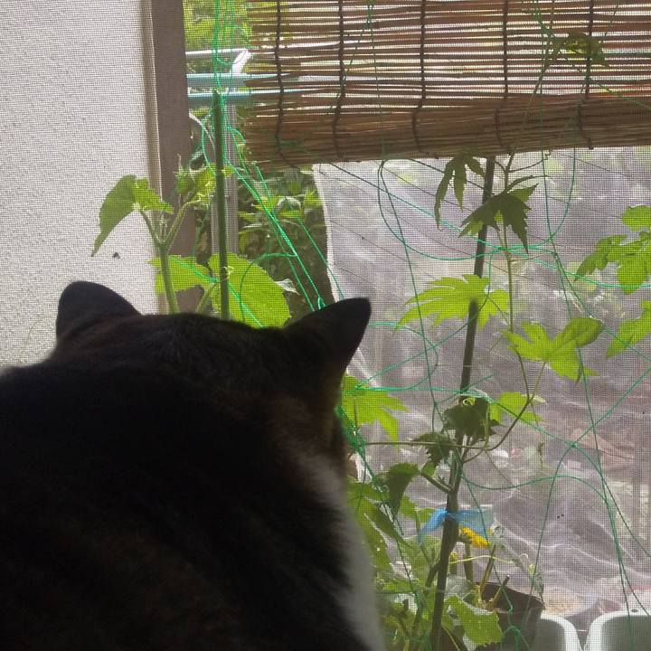 1c84bbfb c8e9 431a 8b70 d2d09fcc1884 1716175762168