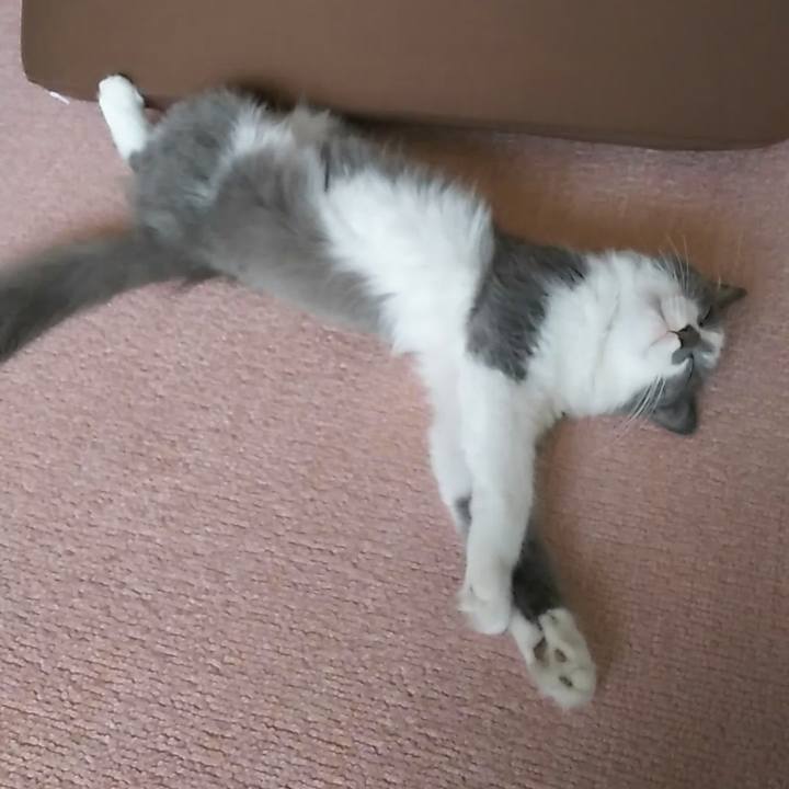 1c84c878 f5fa 465c b302 97f8e3d31a23 1567985178116