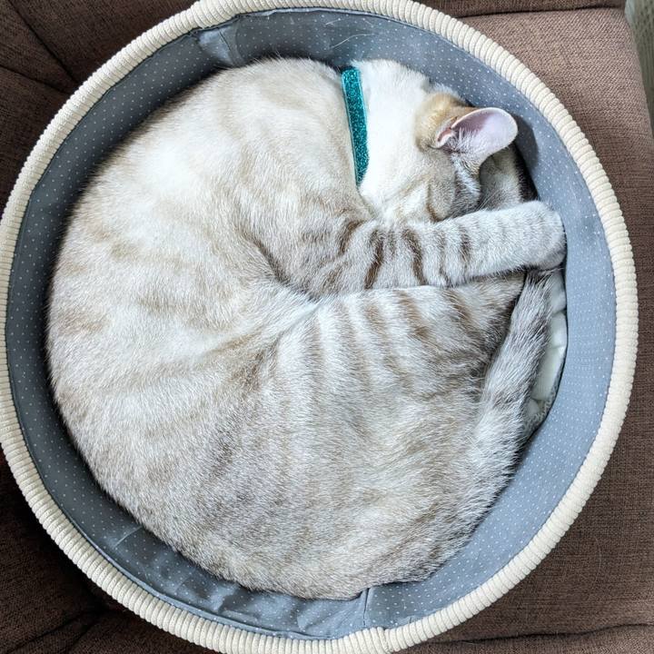 1c84fc09 ad72 4299 b3d2 5459bb29c16b 1768471692655