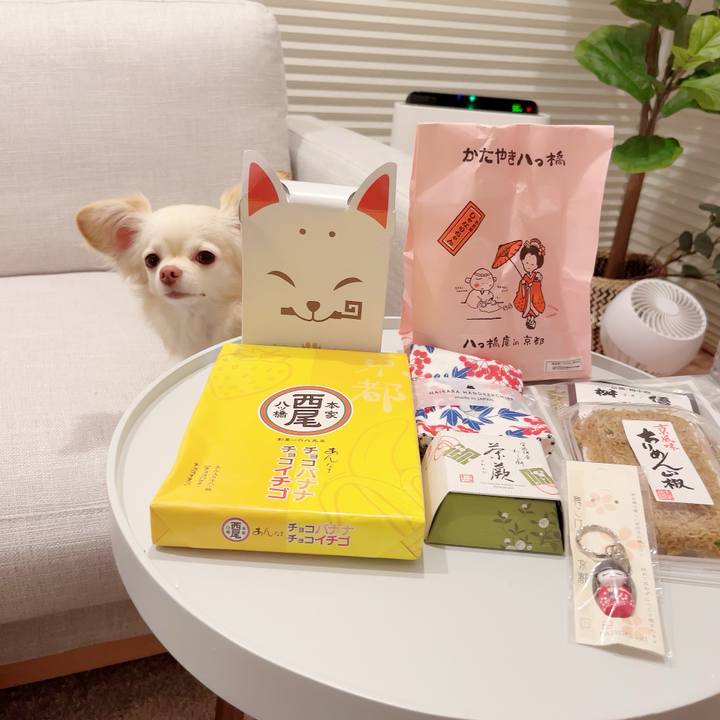 1c851db4 88d8 4e9a 988b 5b83c47f393b 1684317232529