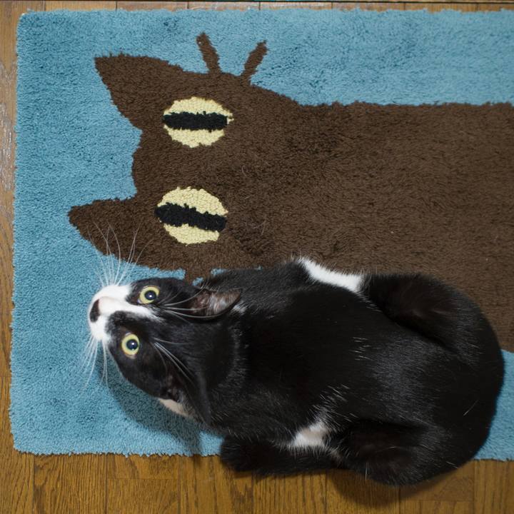 1c8550fc 785e 453b ba12 0b1c532f6e94 1532524157643