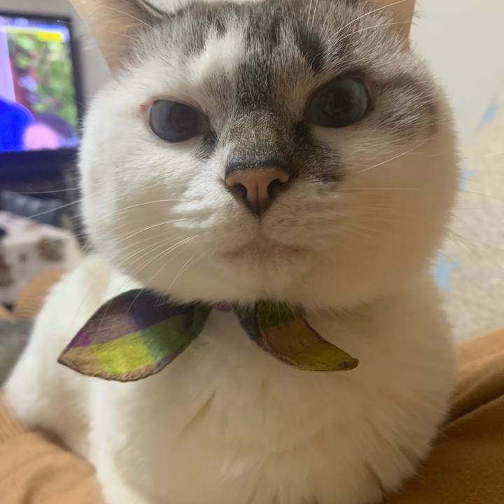 1c856615 8091 40a9 82b8 17e8f1c0db39 1572307446687