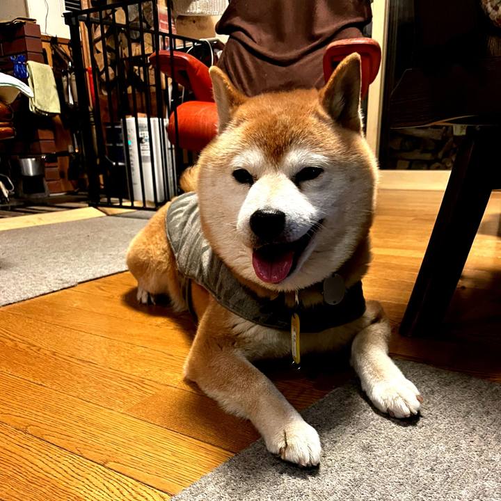 1c856e36 628d 4174 8286 c3ca99108f21 1648309318258