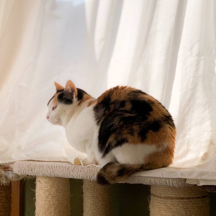 1c85d36c b607 4cbc b7a5 5c82322245fb 1589763642999