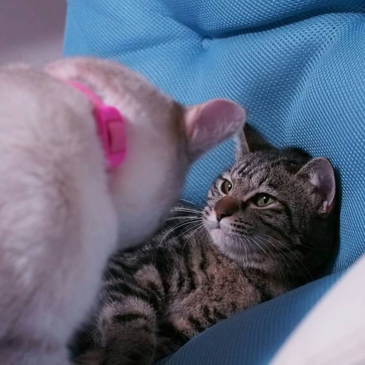 1c85df21 7a35 4541 99d6 d66e18f8a5c6 1519393680257