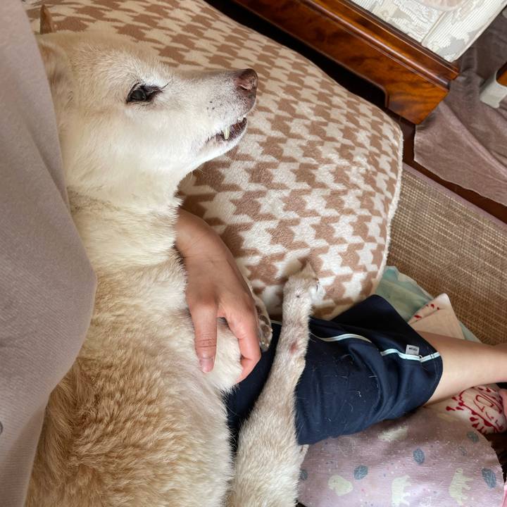 1c85f19a 91b7 40f5 abf7 8da02f1f22e0 1677730870757