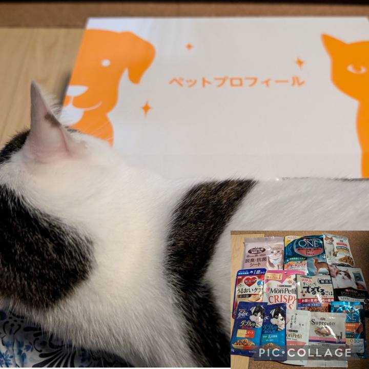 1c8619c0 de07 4d6b 9b54 765899225a5e 1727702903814