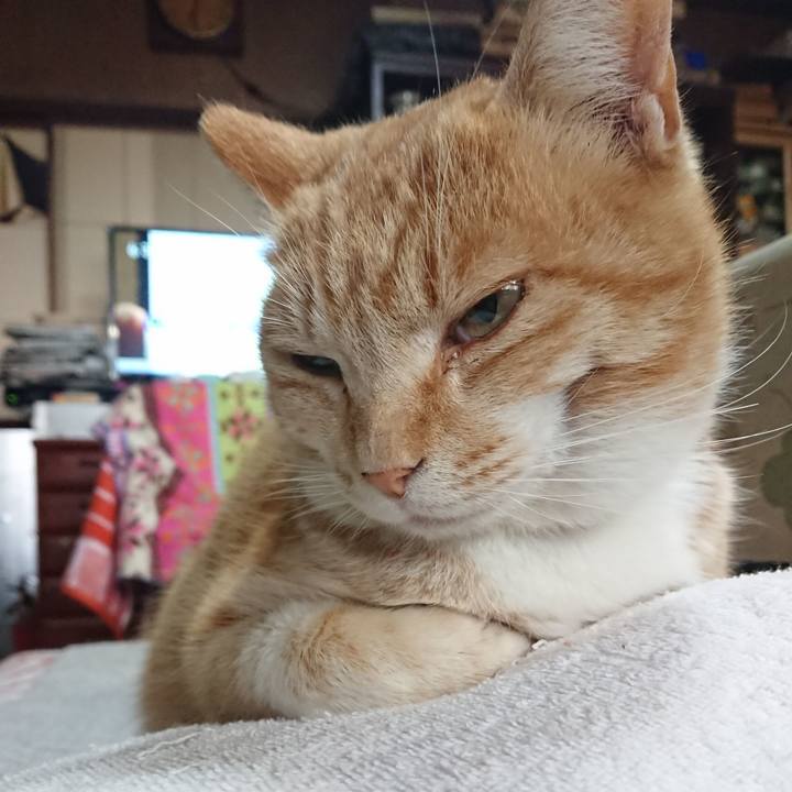 1c861ce6 e6cb 4e99 8009 57205cf14d68 1585605406371