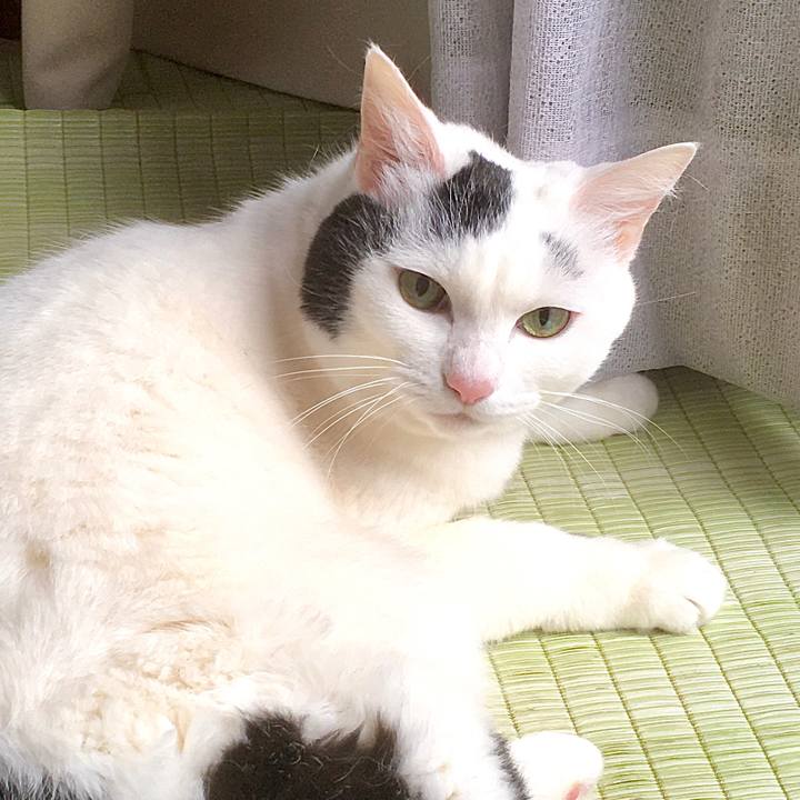 1c863276 71f5 411a b203 8b8afa9385e8 1581922951333