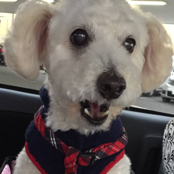 1c86357c ee20 4b3b 87a8 2dedcd4f66c7 1514782363875