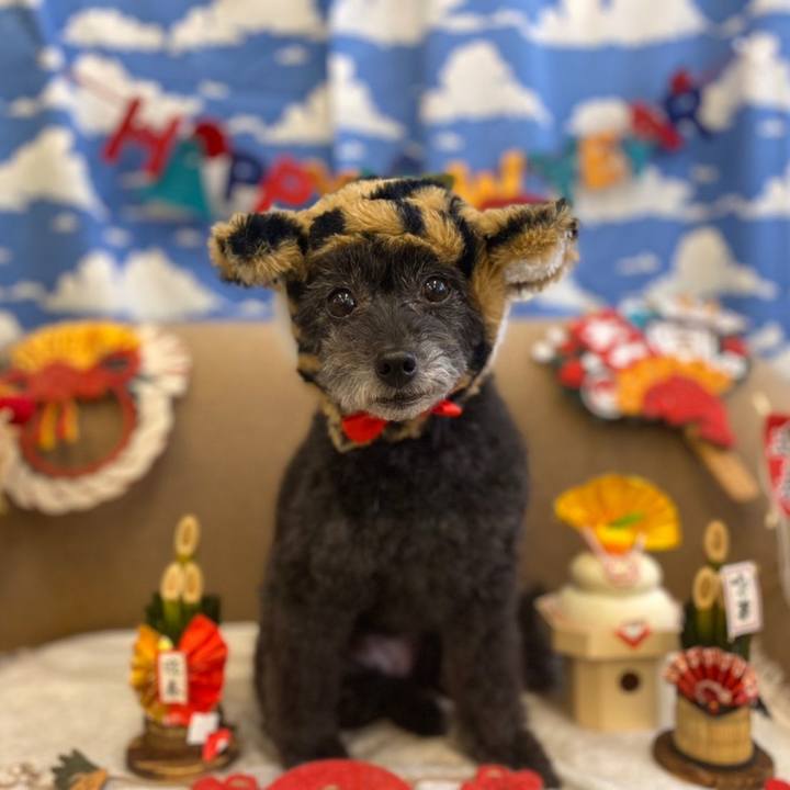 1c863f85 c900 41b2 8905 9f98c85a871b 1640996712686