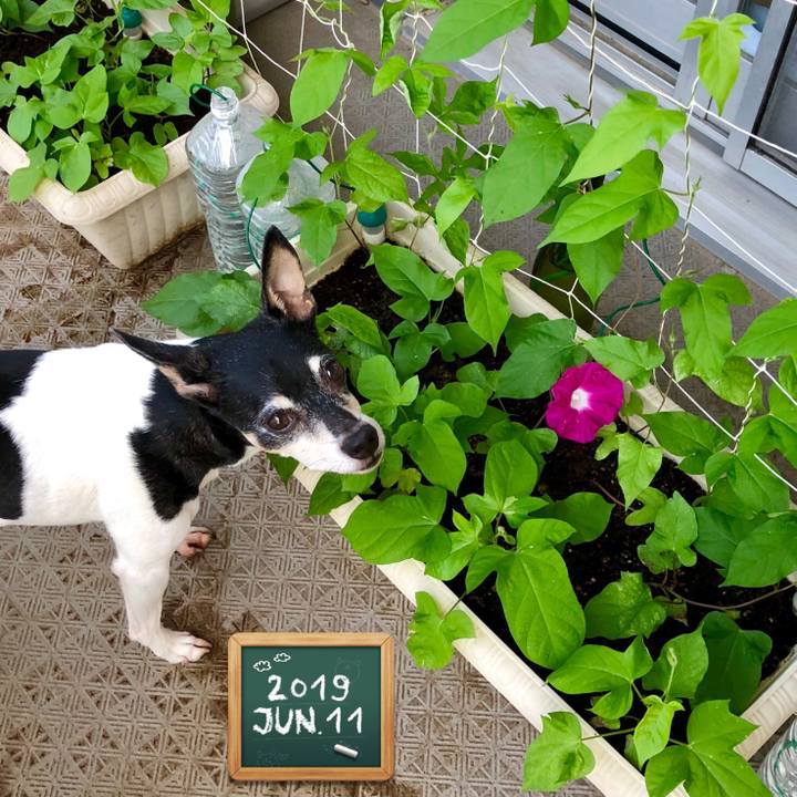 1c86451a fdf0 4a67 af37 afffc2becf53 1560202658952